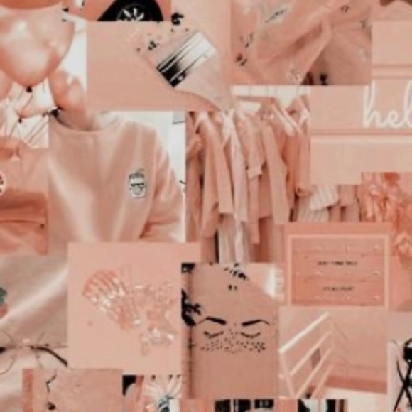 Meet your Posher, Ella - Picture 1 of 1